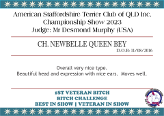 CH. NEWBELLE QUEEN BEY